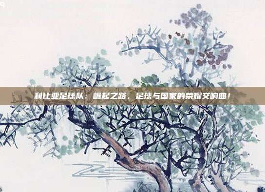 利比亚足球队：崛起之路，足球与国家的荣耀交响曲！