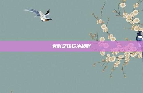 竞彩足球玩法规则