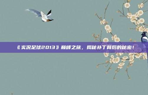 《实况足球2013》巅峰之旅，揭秘补丁背后的秘密！