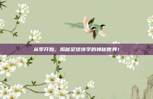 从零开始，揭秘足球快学的神秘世界！