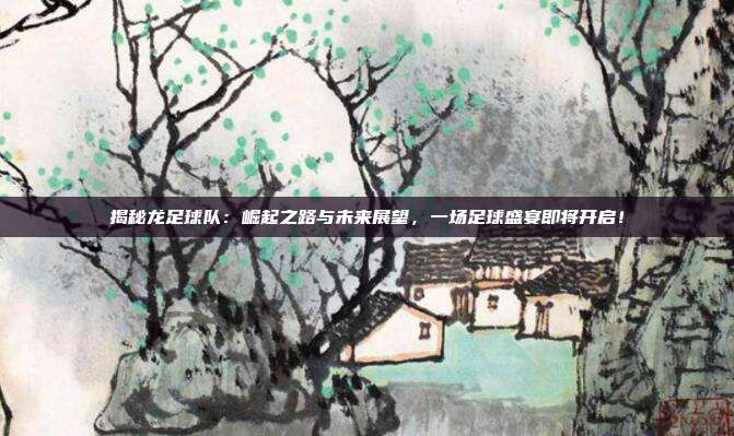 揭秘龙足球队:崛起之路与未来展望,一场足球盛宴即将开启!