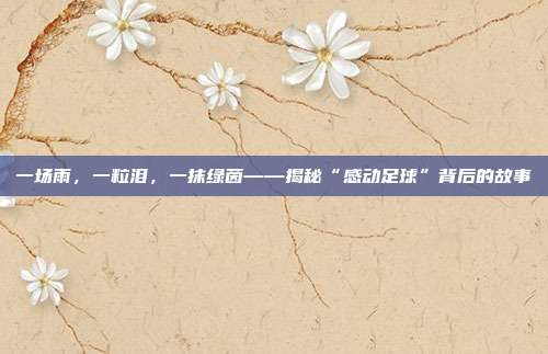 一场雨，一粒泪，一抹绿茵——揭秘“感动足球”背后的故事
