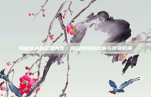揭秘意大利足球先生：荣耀背后的故事与传奇瞬间