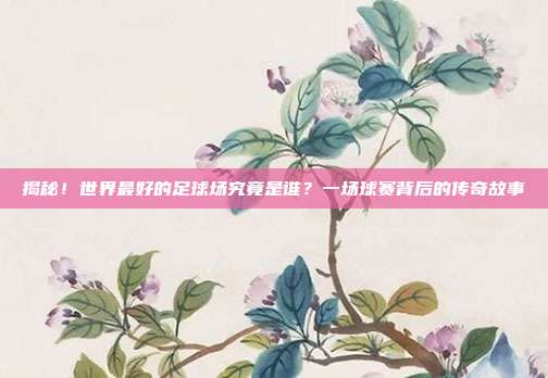 揭秘!世界最好的足球场究竟是谁?一场球赛背后的传奇故事