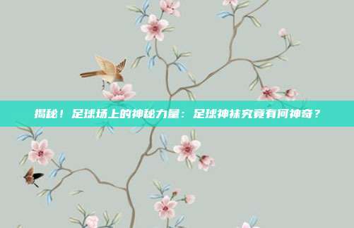 揭秘！足球场上的神秘力量：足球神袜究竟有何神奇？
