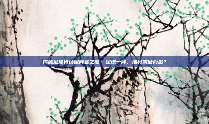 揭秘足球界顶级阵容之谜:足球一阵,谁将脱颖而出?