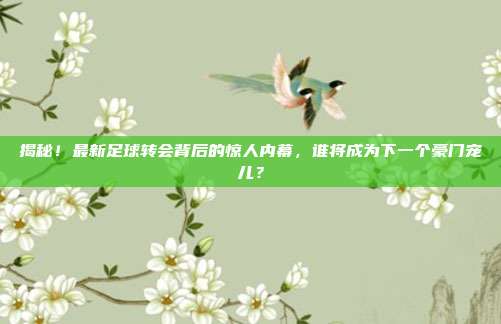 揭秘！最新足球转会背后的惊人内幕，谁将成为下一个豪门宠儿？