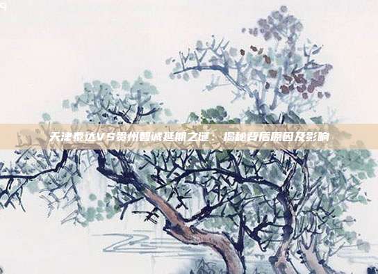 天津泰达VS贵州智诚延期之谜：揭秘背后原因及影响