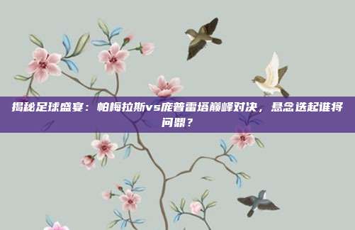 揭秘足球盛宴:帕梅拉斯vs庞普雷塔巅峰对决,悬念迭起谁将问鼎?