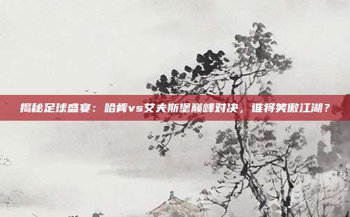 揭秘足球盛宴：哈肯vs艾夫斯堡巅峰对决，谁将笑傲江湖？