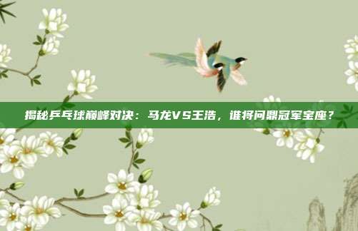 揭秘乒乓球巅峰对决：马龙VS王浩，谁将问鼎冠军宝座？