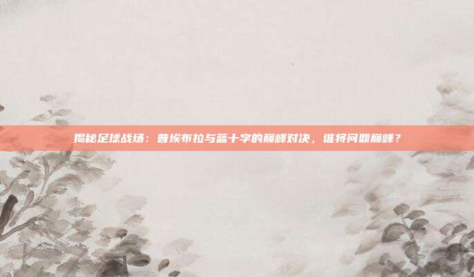 揭秘足球战场：普埃布拉与蓝十字的巅峰对决，谁将问鼎巅峰？
