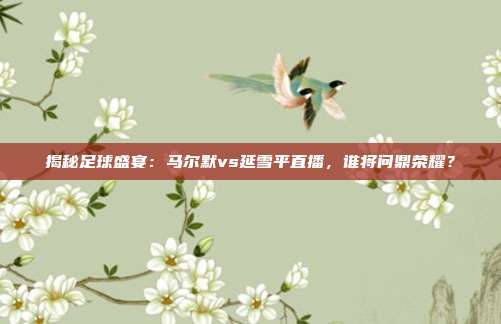 揭秘足球盛宴：马尔默vs延雪平直播，谁将问鼎荣耀？