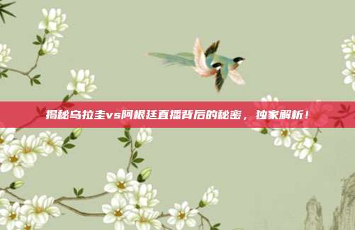 揭秘乌拉圭vs阿根廷直播背后的秘密，独家解析！