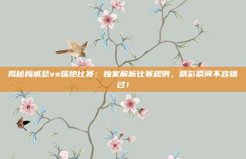 揭秘梅威瑟vs嘴炮比赛：独家解析比赛规则，精彩瞬间不容错过！