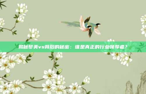 揭秘梦美vs背后的秘密：谁是真正的行业领导者？