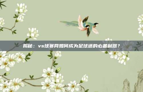 揭秘：vs球赛网如何成为足球迷的必备利器？