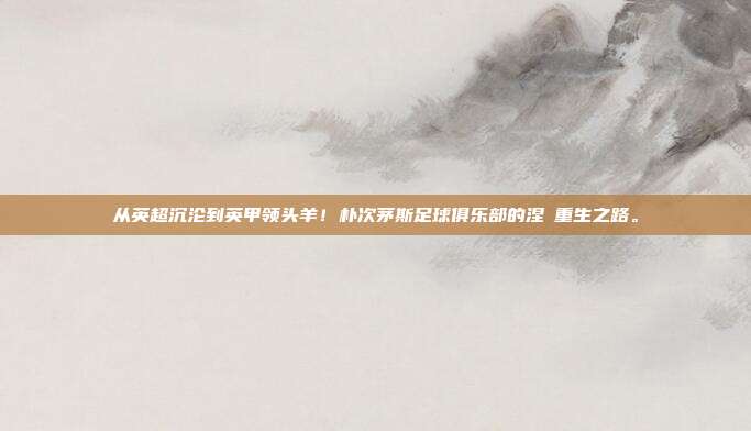 从英超沉沦到英甲领头羊！朴次茅斯足球俱乐部的涅槃重生之路。
