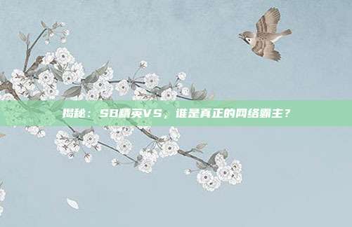 揭秘：SB精英VS，谁是真正的网络霸主？