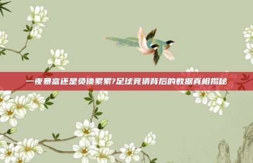 一夜暴富还是负债累累?足球竞猜背后的数据真相揭秘
