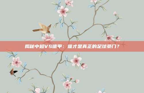 揭秘中超VS德甲：谁才是真正的足球豪门？