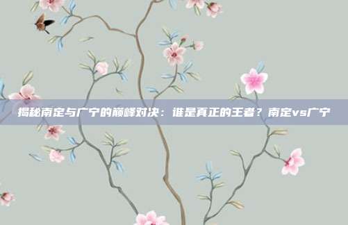 揭秘南定与广宁的巅峰对决:谁是真正的王者?南定vs广宁