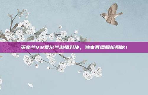 英格兰VS爱尔兰激情对决,独家直播解析揭秘!