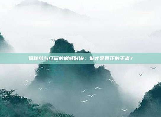 揭秘结与红翼的巅峰对决：谁才是真正的王者？