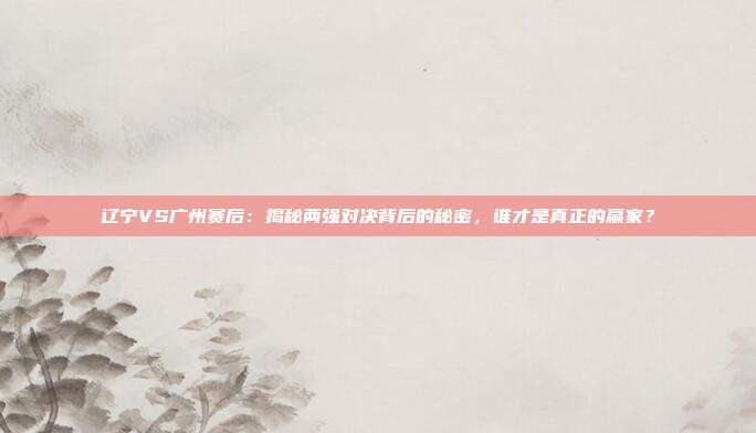 辽宁VS广州赛后:揭秘两强对决背后的秘密,谁才是真正的赢家?