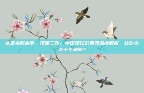 从菜鸟到高手，仅需三步！中国足球彩票网深度解析，让你少走十年弯路？