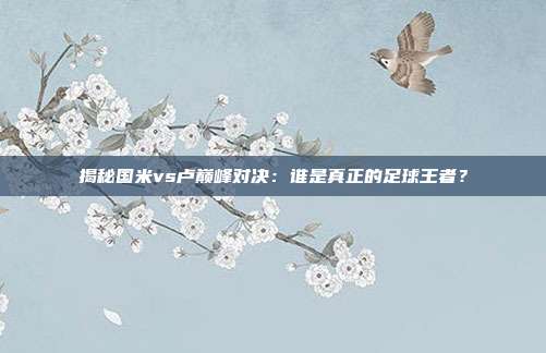 揭秘国米vs卢巅峰对决：谁是真正的足球王者？