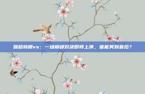 瑞超赫根vs:一场巅峰对决即将上演,谁能笑到最后?