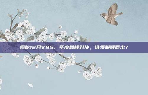 揭秘12月VS5:年度巅峰对决,谁将脱颖而出?