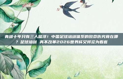 青训十年只有三人留洋！中国足球培训体系的致命伤究竟在哪？足球培训 再不改革2026世界杯又将沦为看客
