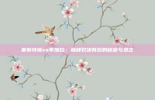 莱斯特城vs布加拉：巅峰对决背后的秘密与悬念