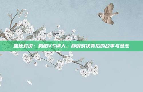 篮球对决:鹈鹏VS湖人,巅峰对决背后的故事与悬念