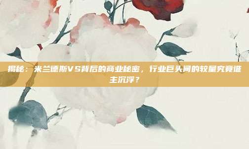 揭秘:米兰德斯VS背后的商业秘密,行业巨头间的较量究竟谁主沉浮?