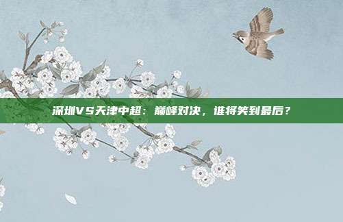 深圳VS天津中超：巅峰对决，谁将笑到最后？