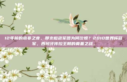 12年前的南非之夜，那支橙色军团为何饮恨？2010世界杯冠军，西班牙传控王朝的奠基之战。