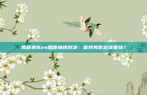 揭秘狼队vs哈德巅峰对决：谁将笑傲足球赛场？