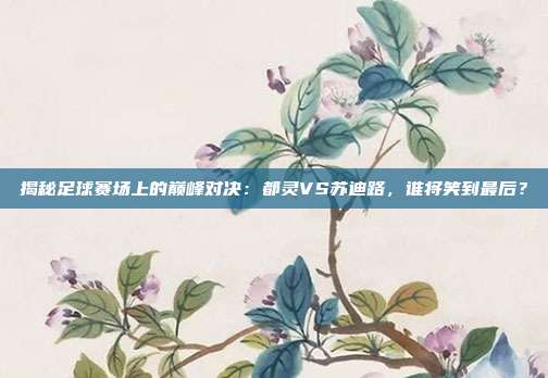 揭秘足球赛场上的巅峰对决:都灵VS苏迪路,谁将笑到最后?