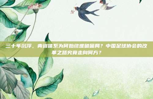 三十年沉浮，青训体系为何始终难破困局？中国足球协会的改革之路究竟走向何方？