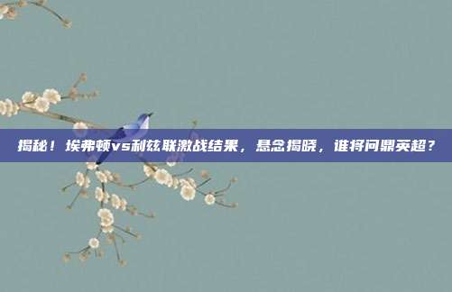 揭秘!埃弗顿vs利兹联激战结果,悬念揭晓,谁将问鼎英超?