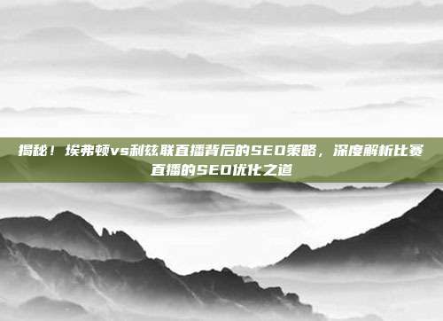 揭秘！埃弗顿vs利兹联直播背后的SEO策略，深度解析比赛直播的SEO优化之道
