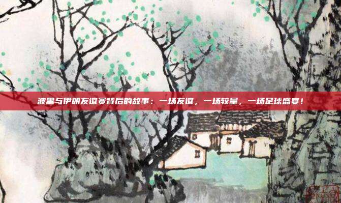 波黑与伊朗友谊赛背后的故事：一场友谊，一场较量，一场足球盛宴！