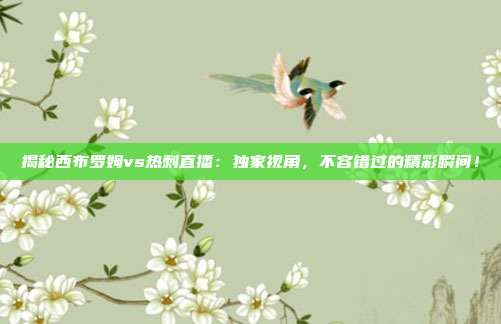 揭秘西布罗姆vs热刺直播:独家视角,不容错过的精彩瞬间!