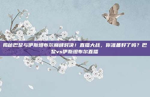 揭秘巴黎与伊斯坦布尔巅峰对决!直播大战,你准备好了吗?巴黎vs伊斯坦布尔直播