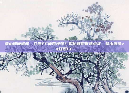 釜山偶像崛起,江原FC能否逆袭?揭秘韩职联焦点战:釜山偶像vs江原FC