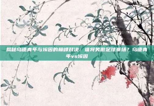 揭秘乌德青年与埃因的巅峰对决：谁将笑傲足球赛场？乌德青年vs埃因