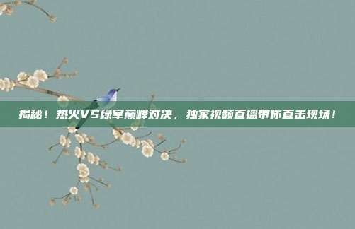揭秘！热火VS绿军巅峰对决，独家视频直播带你直击现场！